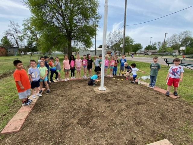 Kindergarten Plant Seeds and Picnic