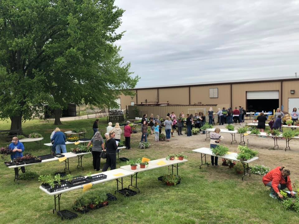 FFA Plant Sale
