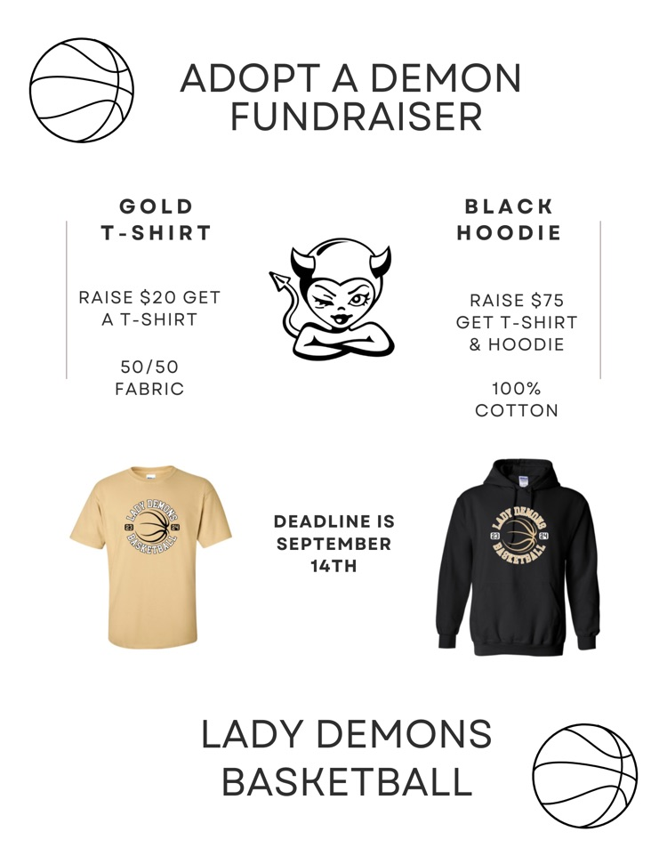 lady demon bb fundraiser items